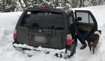 Водитель пять дней выживал, застряв в снегах со своим пёселем. И секрет спасения был в томатном соусе