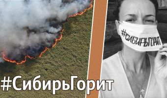 Лесные пожары в Сибири растут, и защитить тайгу просят уже звёзды. Ведь чиновники по-прежнему стоят на своём