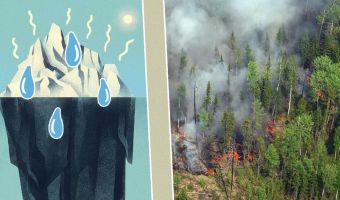 «Экологическая катастрофа, которая изменит климат во всем мире». Западные медиа и экологи о пожарах в Сибири