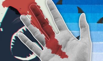 Капля крови в море — и ты жертва акулы? Блогер проверил слух, что зубастые чуют раны (и итоги неожиданные)