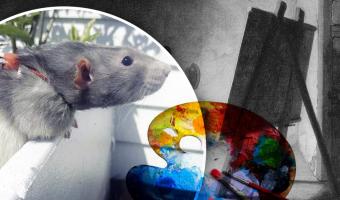 Крыса открыла в себе талант художника, а её работы покупают люди. И это современное искусство из мира животных