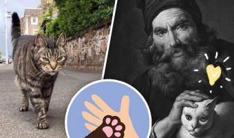 В Шотландии живут котейка и его хозяин. Один из них каждый день ждёт другого из разъездов, но это не кот