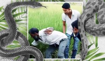 Мужчина решил поймать голыми руками сидевшую в траве змею. Но идея обернулась неожиданными последствиями