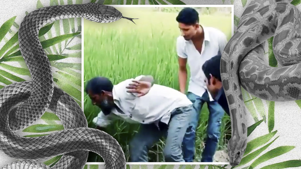Мужчина решил поймать голыми руками сидевшую в траве змею. Но идея обернулась неожиданными последствиями