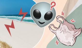 Странный живой мешок очутился на пляже и удивил людей. Да, в Австралии, но нет, это не НЛО (хотя очень похоже)