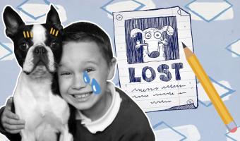 Юный художник вернул похищенного пса с помощью самодельных плакатов. А всё потому, что совсем не умел рисовать