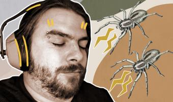 Веб-дизайнер встретил мастера паутины посильнее и теперь спит в наушниках. Через них пауки в уши не проберутся