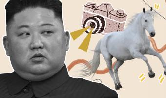 Ким Чен Ын вскарабкался на белого коня, а тот — на вершину горы. Фотосет эпичный, но кого-то напоминает