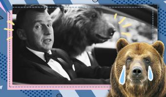 Citroën выпустила рекламу с медведем и выбесила зоозащитников. Но от гнева смешно, ведь хищника в ролике нет
