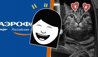 Толстый кот Виктор обхитрил «Аэрофлот» и стал героем мемов. Соцсети на его стороне, ведь бро — не багаж