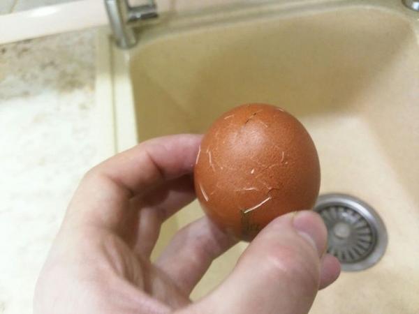 Если поставить яйцо во время затмения, оно не упадёт. Мы провели эксперимент и узнали, как победить гравитацию