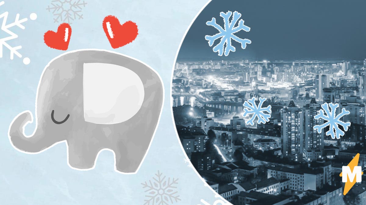 Слон сбежал из цирка и гуляет по Екатеринбургу. Он валяется в снегу и радуется, как ребенок