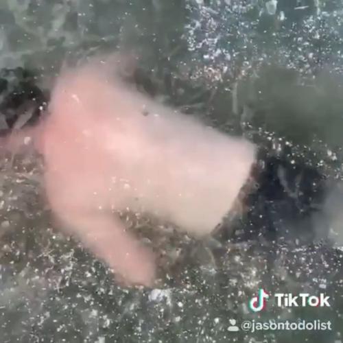 Блогер ради эпичного видео нырнул под лёд и потерял прорубь. Концовка ролика заставит вас испытать облегчение