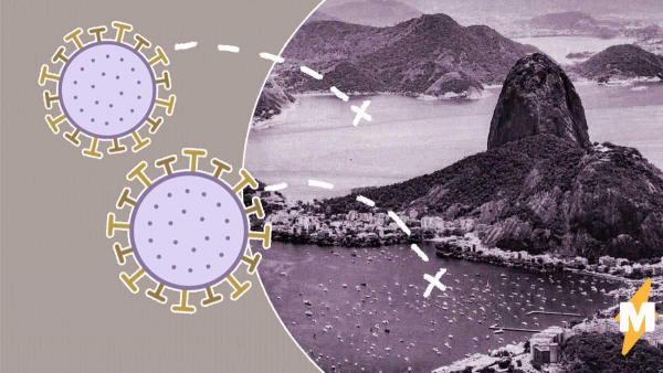 В Бразилии нашли неизвестный науке вирус. Учёные смогли лишь придумать ему красивое имя
