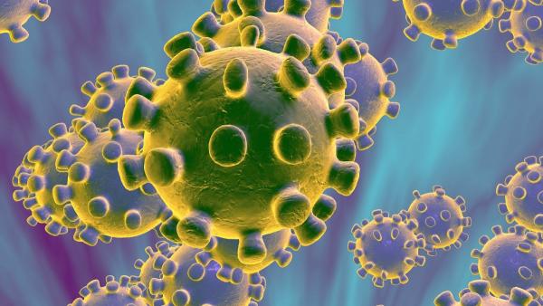 Инкубационный период коронавируса оказался дольше, чем думали врачи. А значит, карантин сегодня не спасает