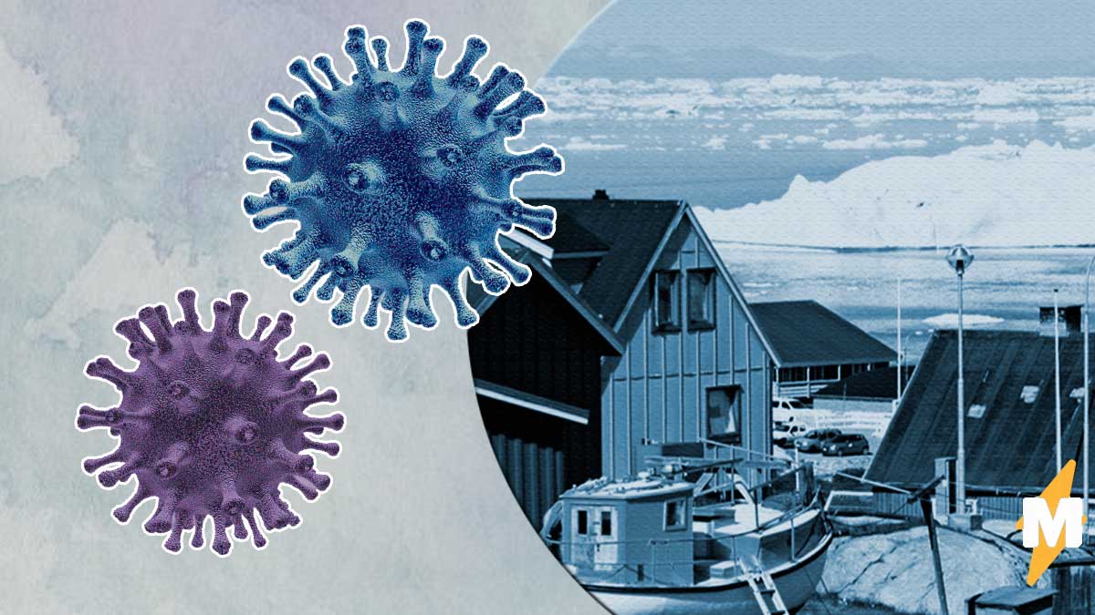 Коронавирус уже в Гренландии, и это удар для фанов Plague Inc. Надежда на Мадагаскар есть, но призрачная