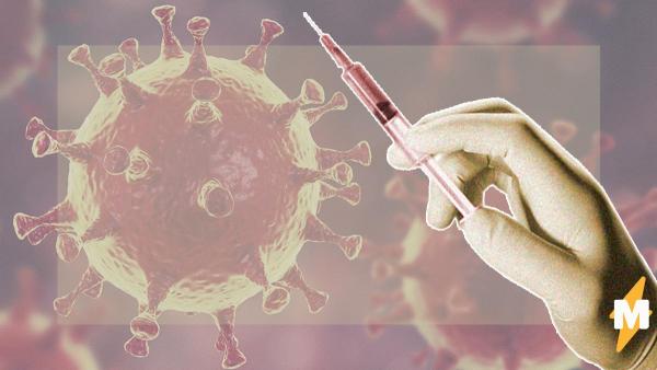 Люди узнали, что вакцина БЦЖ может помогать при коронавирусе. В соцсетях надежда, ведь это не просто слухи
