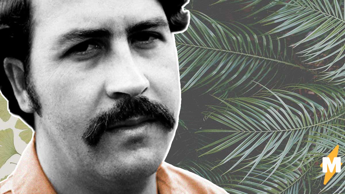 Пабло это. Пабло Эскобар. Пабло Эмилио Эскобар Гавирия. Don Pablo Escobar.