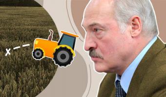 Белоруссия отказалась закрывать границу с Россией. Ведь Лукашенко знает верное средство от коронавируса