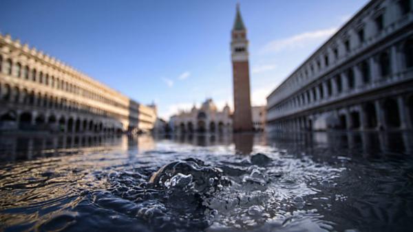 Как же похорошела Венеция при коронавирусе. Вода в каналах стала кристально чистой, и это повод задуматься