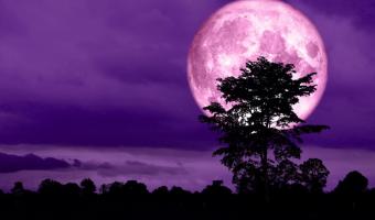 В ночь на 8 апреля мир наблюдал «Розовое суперлуние». Как выглядела Луна и почему не стоит верить фото