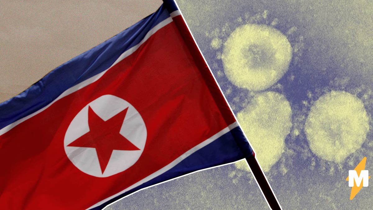 Врачи Северной Кореи заявили, что в стране нет коронавируса. Зато там жёсткий карантин