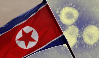 В Северной Корее официально нет коронавируса. Зато там был жёсткий карантин и такая же цензура