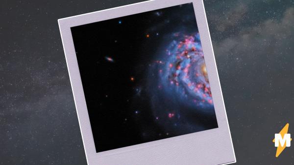 Парень сделал фото мощного взрыва звезды в галактике М61. Зрелище завораживает, но видно его лишь внимательным