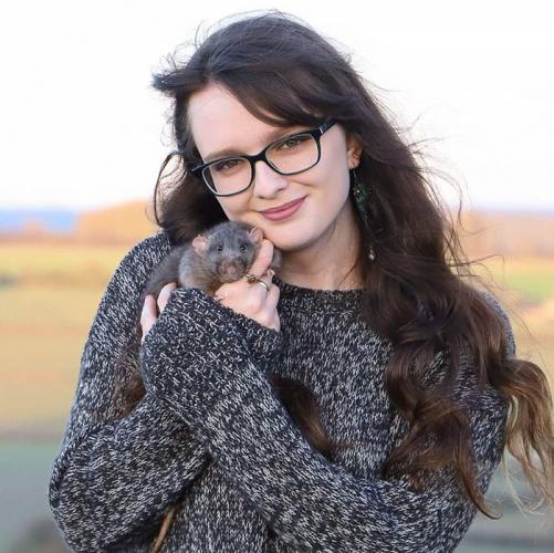 Девушка покоряет Сеть благодаря своим крысам. Ведь - они талантливые художники, которые этим зарабатывают