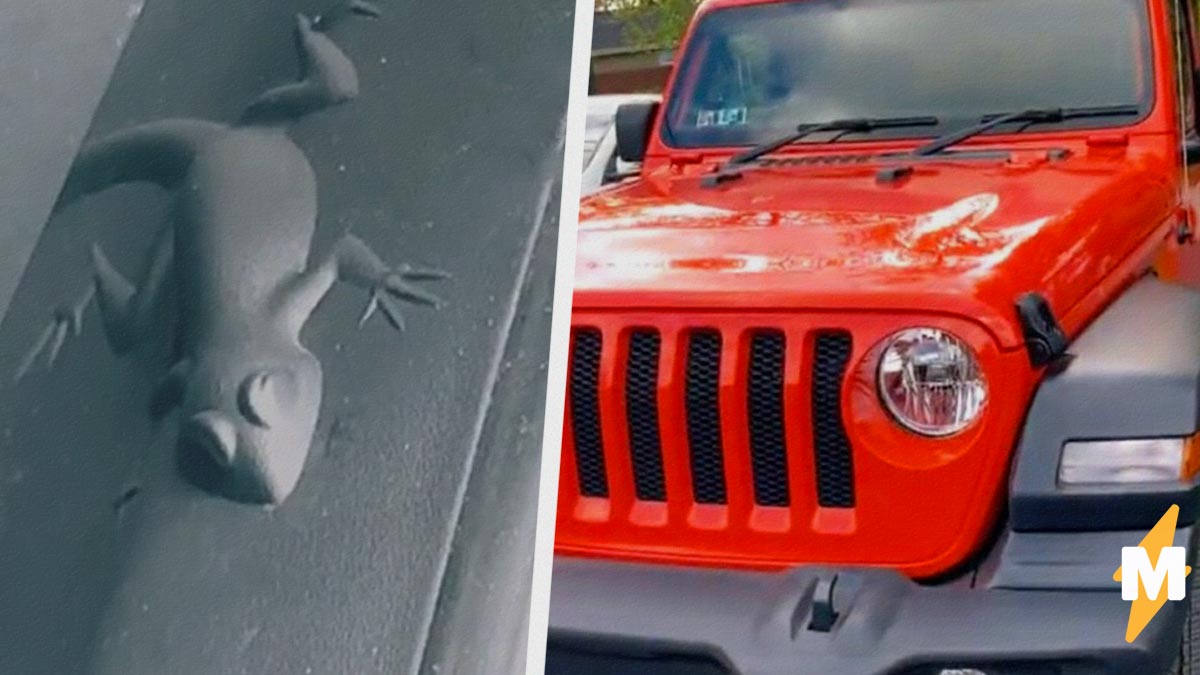 Люди нашли пасхалки на машинах марки Jeep