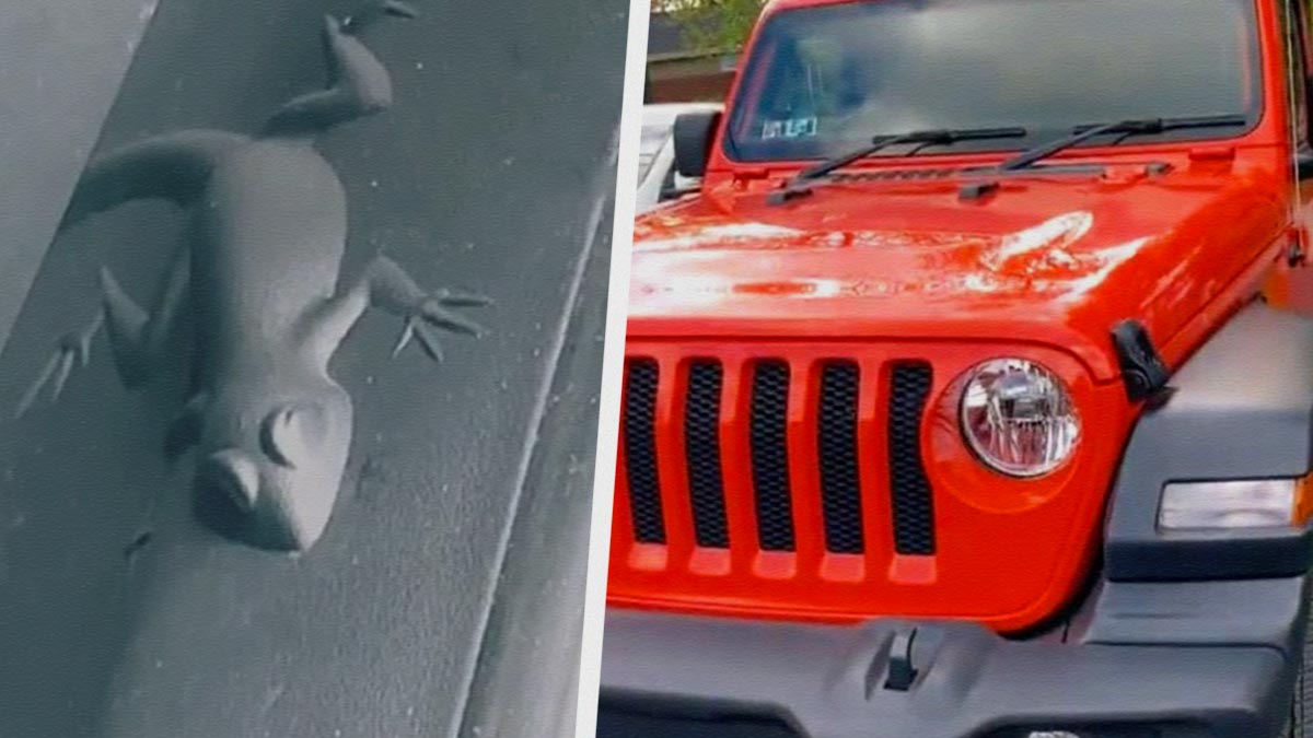 Люди нашли пасхалки на машинах марки Jeep