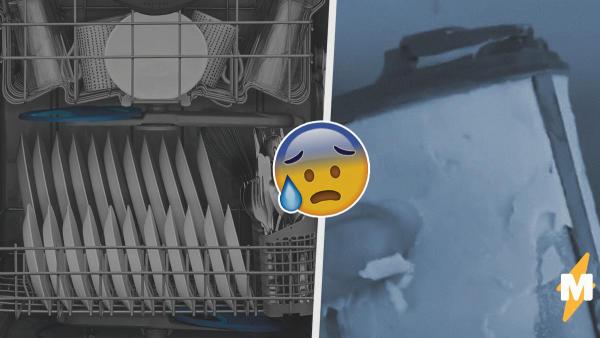 Люди увидели, что происходит если не мыть фильтры посудомоечных машин. Но к такому жизнь многие не готовила