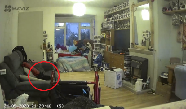 Женщина показала видео, на котором увидела призрак её кота. И ролик заставил людей поверить в паранормальное
