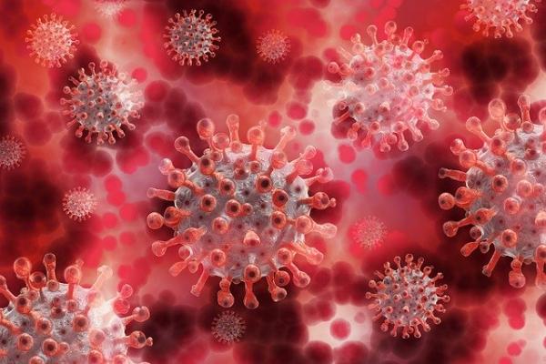 Вторая волна коронавируса: ждать её или нет? Мнения экспертов разнятся, но радоваться концу пандемии рано