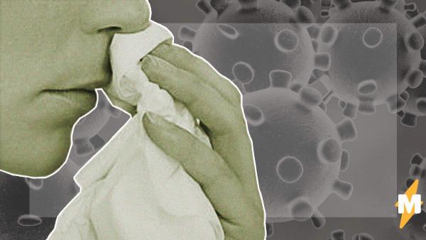 Почему при коронавирусе пропадает обоняние? Причём у некоторых – навсегда
