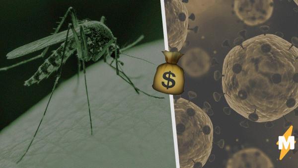 Комары, переносящие болезни, рискуют захватить США. Всё потому, что власти слишком заняты борьбой с COVID-19