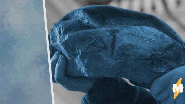 Палеонтологи в 2011 году обнаружили предмет, похожий на мяч. Оказалось, что ему 66 млн лет и он "живой"