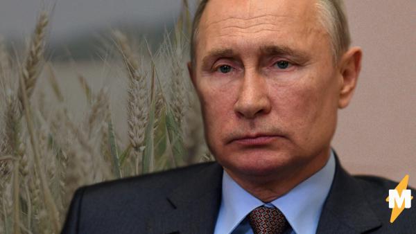 Владимир Путин порадовался посевной в 2020 году. Теперь сердца россиян греет хороший урожай и странные шутки