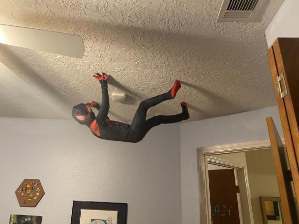 Мальчик надел костюм Человека-паука и залез на потолок. Но помог не паучий укус, а хорошая наследственность