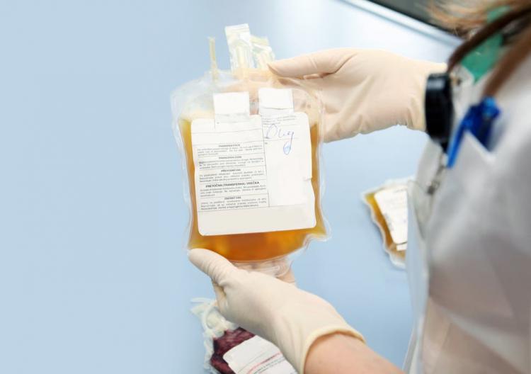 В Пакистане продают кровь пациентов, переживших COVID-19. Но искать "чудо-средство" придётся на чёрном рынке
