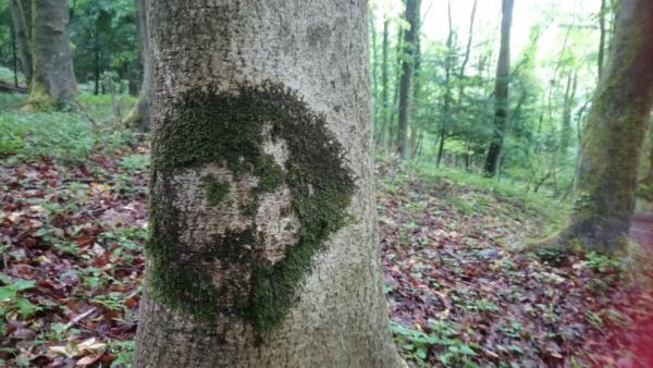 Мужчина гулял по лесу и наткнулся на самого Че Гевару. То был на дереве и пытался замаскироваться под женщину