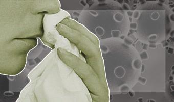 Учёные выяснили, почему пропадает обоняние при коронавирусе. И к некоторым оно не вернётся никогда
