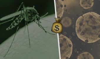 Заразные комары несут США новые угрозы. Но власти слишком заняты борьбой с COVID-19
