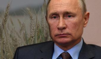 Владимир Путин заявил о хорошем урожае в 2020 году. Теперь сердца россиян греет посевная и странные шутки