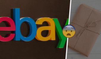 Женщина раскритиковала eBay и пожалела. Постоянные посылки с живыми пауками для неё стали лишь началом кошмара