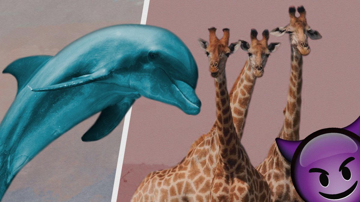 Ученый 30 лет исследует дельфинов: «Они занимаются сексом ради удовольствия»