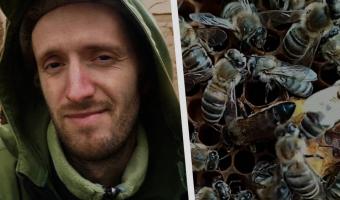 «Мне аж дышать трудно стало». Пчеловод из России показал трюки с пчёлами, и у людей кровь застыла в жилах