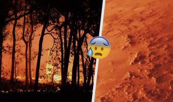 Калифорния — Марс на минималках. Пожары превратили штат в Красную планету, и фото оттуда — огонь (буквально)