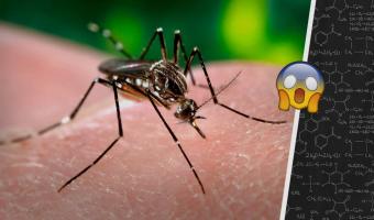 Учёные в США готовят выпуск комаров-мутантов. Но люди уверены – это приведёт к апокалипсису
