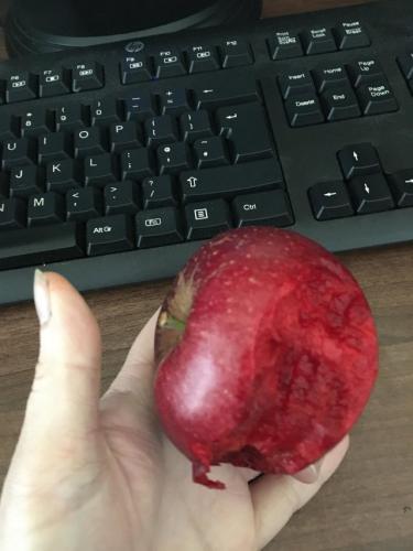 Фото яблока сломало людей в Сети. Оно наполовину съедено, но выглядит целым - спасибо необычной мякоти